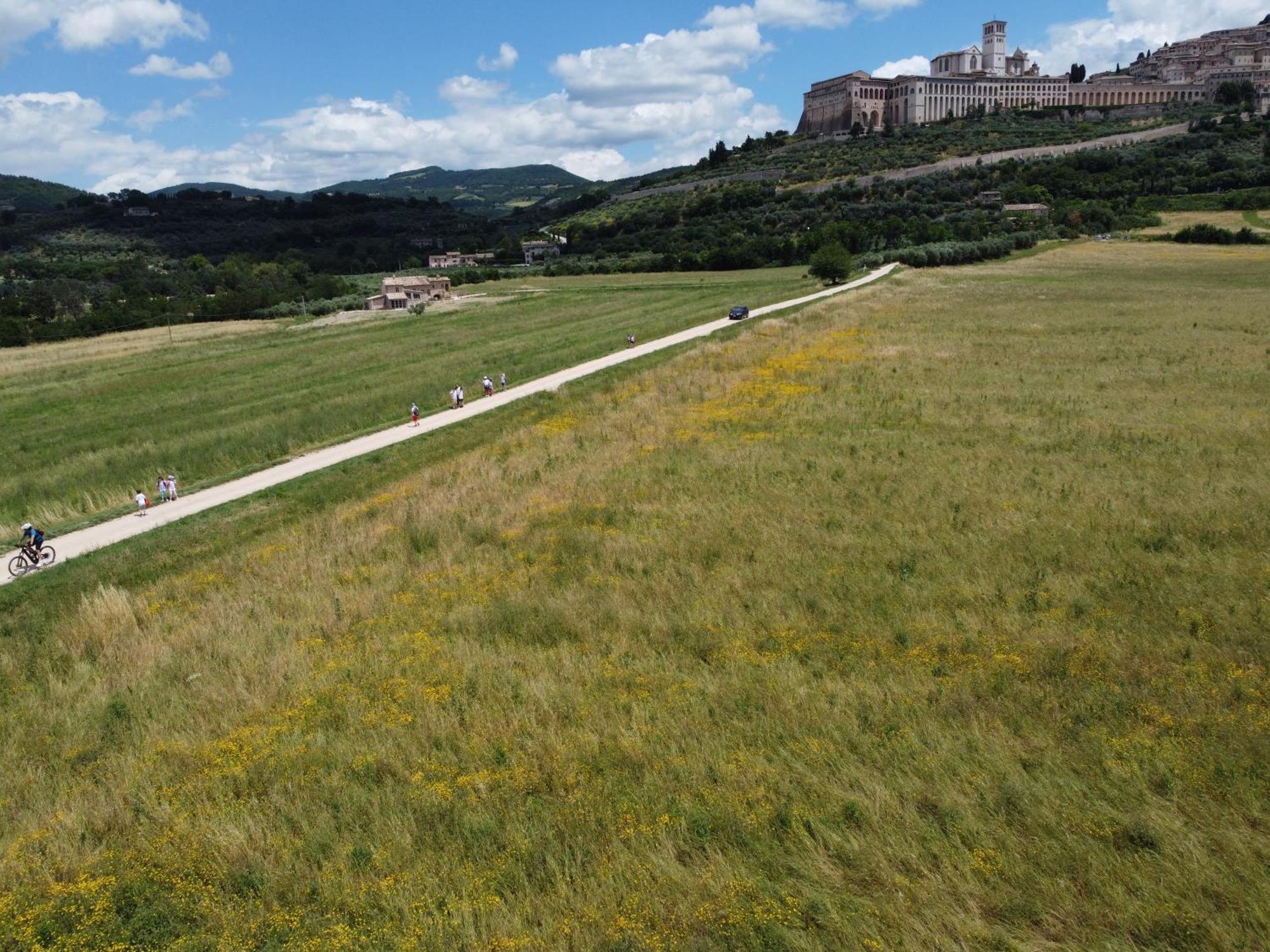 Agriturismo Molinella Assisi Esterno foto